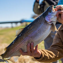 Load image into Gallery viewer, 2026 Trinity Flyfest Big Trout Contest Registration